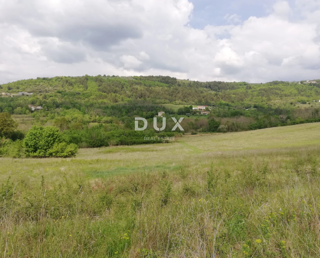 Terreno Motovun, 531.833m2