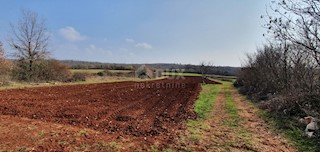 Terreno Sveti Ivan, Višnjan, 2.200m2