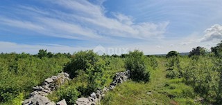 Terreno Labin, 7.884m2