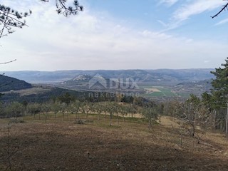 Terreno Kaldir, Motovun, 6.500m2