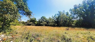 Terreno Završje, Grožnjan, 1.000m2