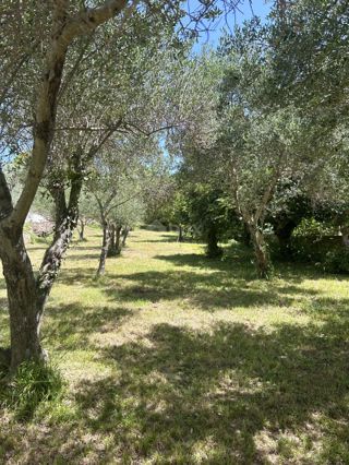 ZADAR, KOŽINO - Terreno edificabile 120m dal mare