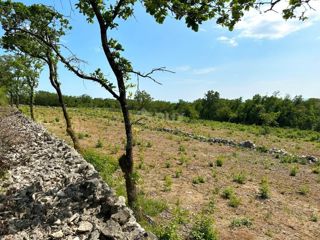 ALBONO, ST. LOVREČ, VLAKOVO - terreno edificabile 8600m2 per hotel / boutique hotel / casa familiare / villa / appartamenti / casa in affitto con piscina / casa vacanze con piscina