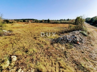 ISTRIA, ROVIGNO - Terreno agricolo ideale