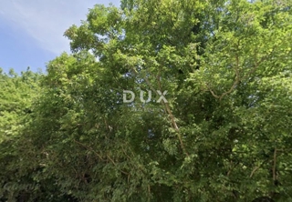 ISTRIA, PERUŠKI - Terreno agricolo 41600 m2