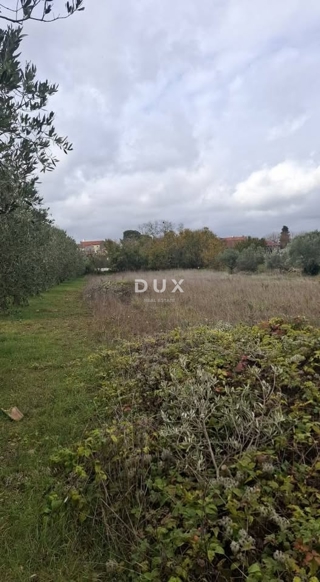 ISTRIA, VODNJAN - Terreno edificabile