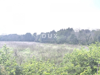 ISTRIA, PREMANTURA - Terreno agricolo, Capo Kamenjak, a 200 m dal mare