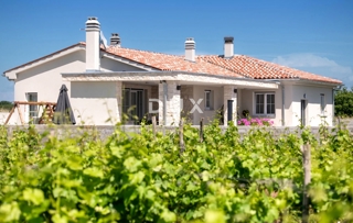 ISTRIA, MARČANA - Casa con piscina