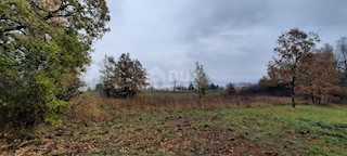 Terreno Laginji, Žminj, 2.371m2