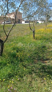 Terreno Divšići, Marčana, 1.970m2