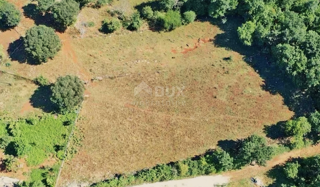 ISTRIA, VIŠNJAN - Ultimo terreno edificabile nella zona edificabile di un tranquillo insediamento