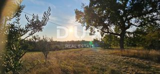 ISTRIA, OPRTALJ - Casa in pietra in una bellissima tenuta