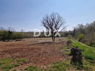 ISTRIA, PARENZO - L'ultimo complesso di terreni nella zona edificabile