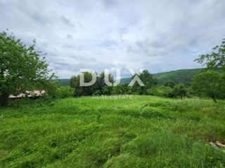 ISTRIA, PINGUENTE - Ampio terreno edificabile ai margini della zona edificabile