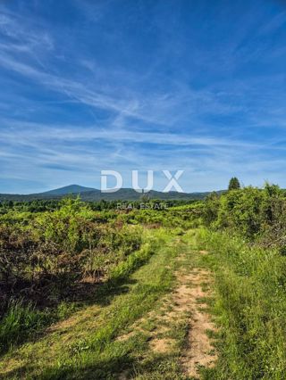 SLUNJ, TRŽIĆ - 77.083 m2 di terreno con casa, opportunità di investimento