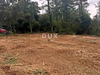 ISTRIA, ALBONA - Ampio terreno ai margini dell'area edificabile