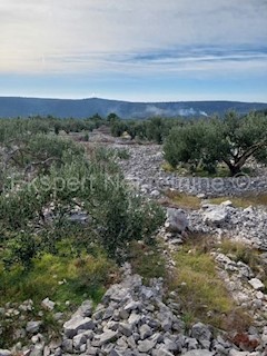 Rogoznica, Podorljak, terreno agricolo 6500m2, 500 m dall'autostrada