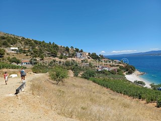 Brač, Nerežišća, grad. terreno 1307 m2, a soli 130 m dal mare