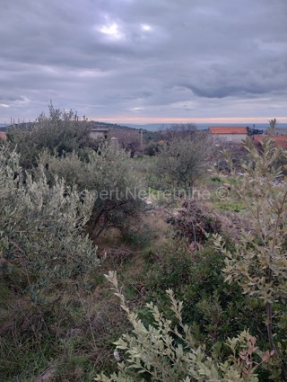 Sevid, Zaselo, terreno edificabile 2375 m2, 700 m dal mare e dalla spiaggia