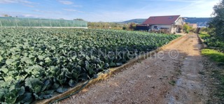 Trogir, Divulje, agricultural land 751 m2, only 120 m from the sea