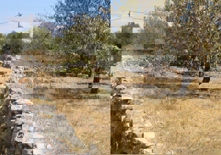Drvenik Mali, terreno edificabile 650 m2, 200 m dal mare