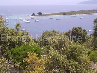 Drvenik Veli, terreno agricolo 4000m2, vicino al mare