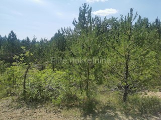 Lupoglav - terreno agricolo/forestale 36.954 m2