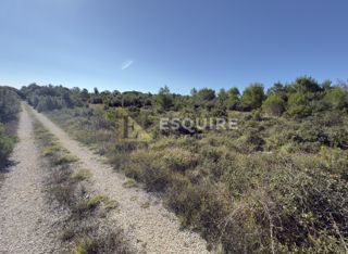 Terreno Zaton, Nin, 1.231m2