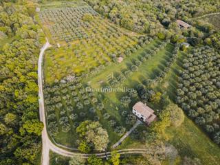 Parenzo, dintorni - proprietà con casa in pietra