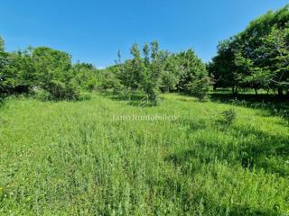 Terreno agricolo adatto ad uliveto