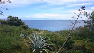 House first row to the sea, Mali Lošinj