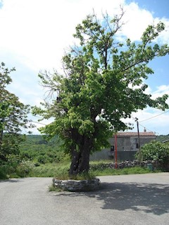 Building land, island of Cres