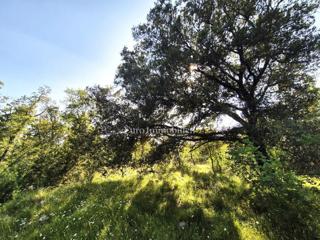 Terreno agricolo vicino al mare