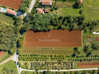 Istria – terreno edificabile di forma regolare con accesso