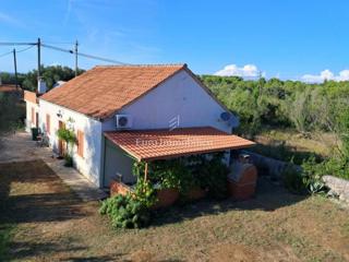 Ždrelac - casa con giardino in posizione tranquilla