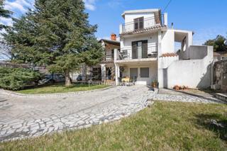 Ampia casa con 3 unità, Ližnjan