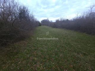 Isola di Krk - terreno agricolo