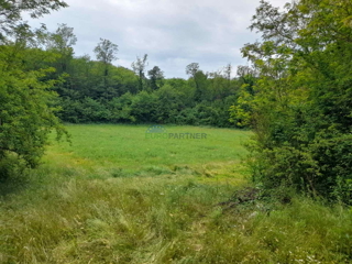 Istria, Parenzo, Baderna, terreno agricolo