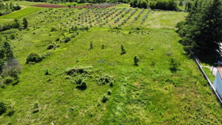 Vendita - terreno edificabile vicino a Visignano