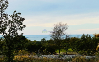 Istria, Vodnjan, terreno edificabile con vista mare