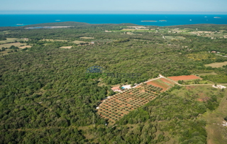 Terreno agricolo in una posizione molto attraente vicino a Rovigno