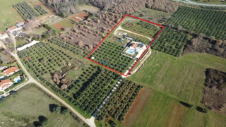 Istria, Visignano, villa con un bellissimo giardino