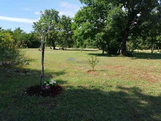 Istria, terreno agricolo vicino al centro di Rovigno