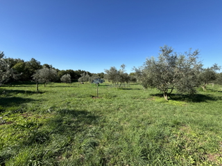 Istria, Žminj, terreno attrattivo di 50.000,00 m² con destinazione edificabile e agricola