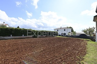 Kaštelir - terreno edificabile, superficie di 534 m²!