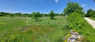 Terreno agricolo vicino a Baderna – posizione ideale vicino alla ZONA EDIFICABILE!