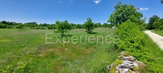 Terreno agricolo vicino a Baderna – posizione ideale vicino alla ZONA EDIFICABILE!