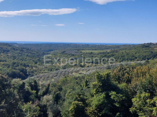 Nelle vicinanze di Buie, IN POSIZIONE ATTRAENTE - uliveto, superficie 16.141 m²