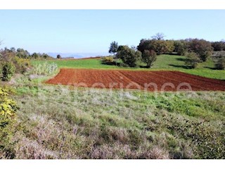 Zona di Montona: terreno agricolo ai margini dell'AREA EDIFICABILE