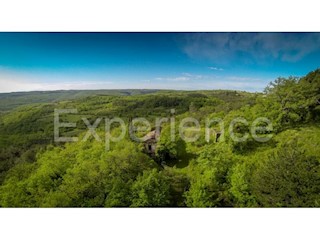 Grožnjan, tenuta 100.000 m² con casa, zona edificabile e vista